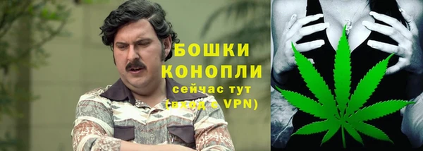 прущие грибы Абдулино
