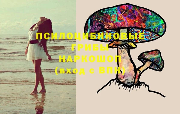 прущие грибы Абдулино