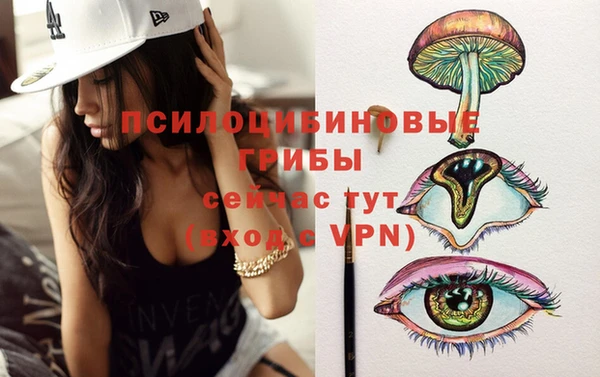 прущие грибы Абдулино