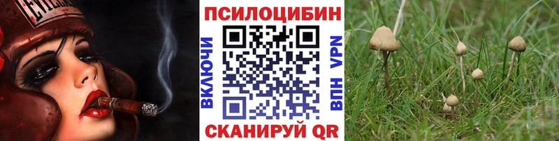 наркошоп  Шенкурск  Галлюциногенные грибы GOLDEN TEACHER 