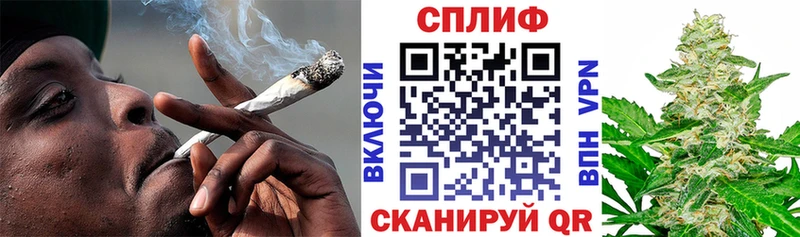Конопля гибрид  наркота  Шенкурск 